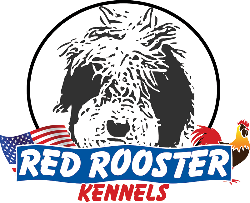 Red Rooster Kennels